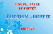 Peptit là gì? Protein là gì? tính chất hoá học, công thức cấu tạo của Peptit và Protein - Hoá 12 bài 11